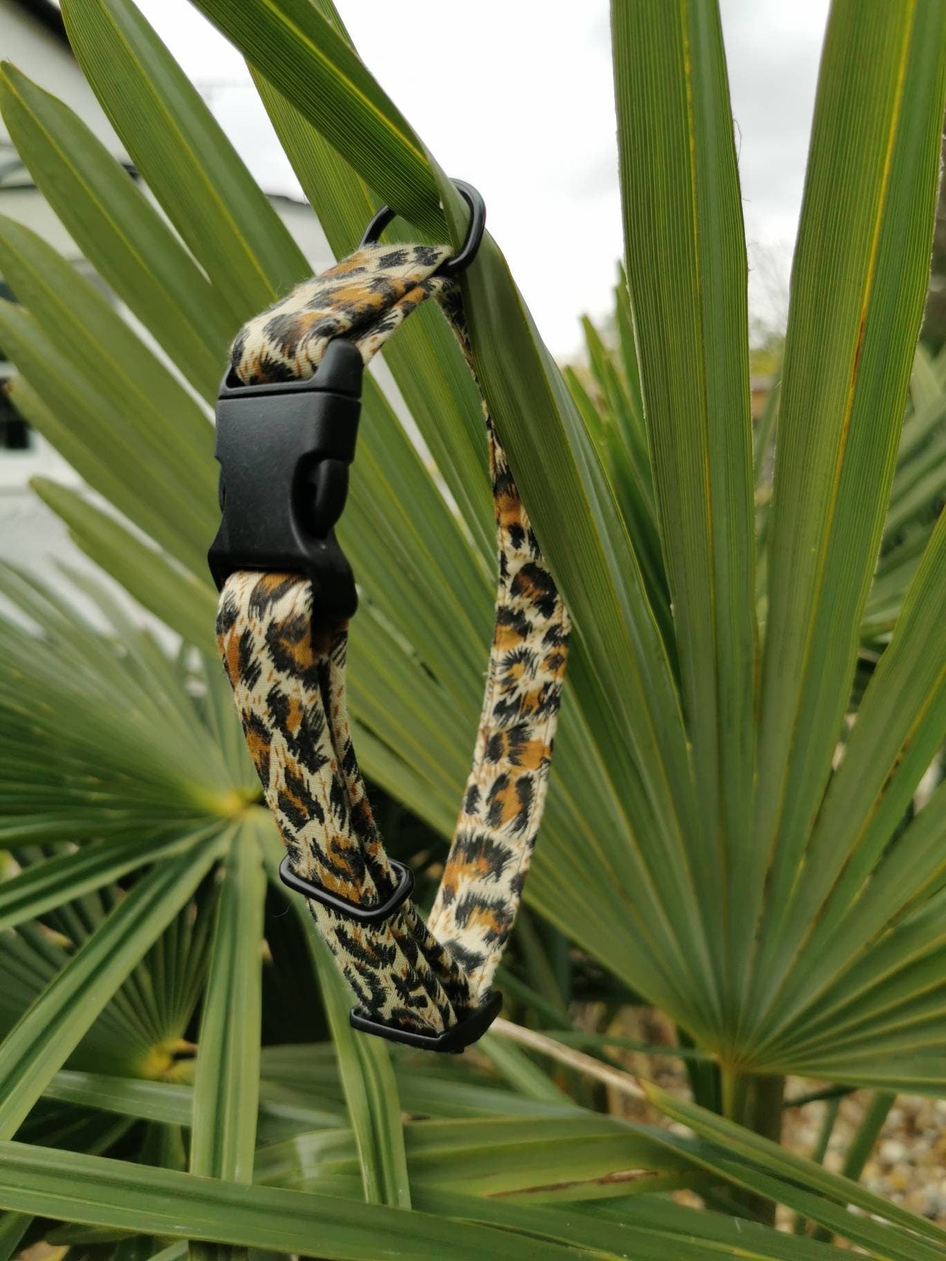 Leopard Print Dog Collar