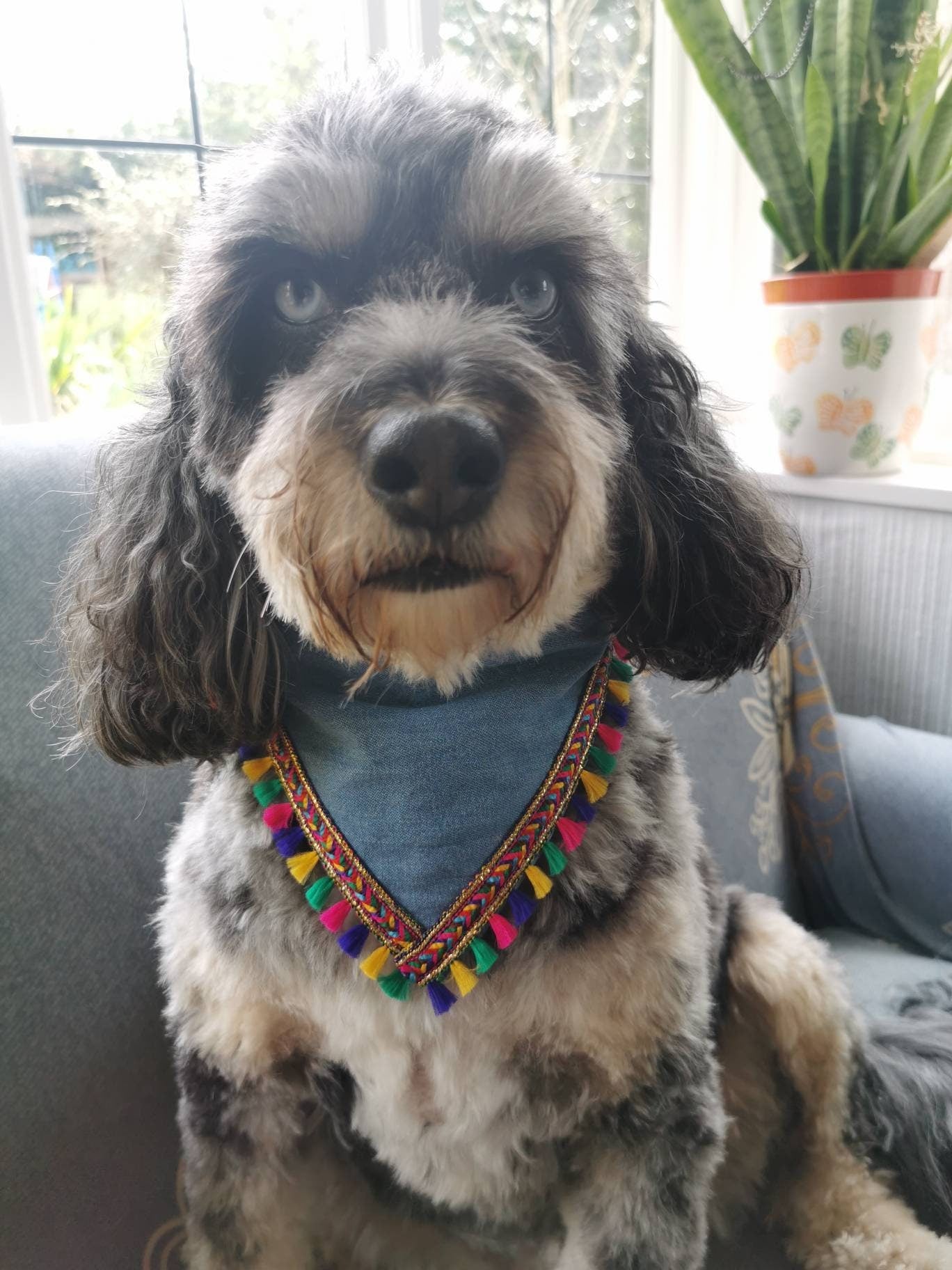Denim Dog Bandana With Coloured Tassels